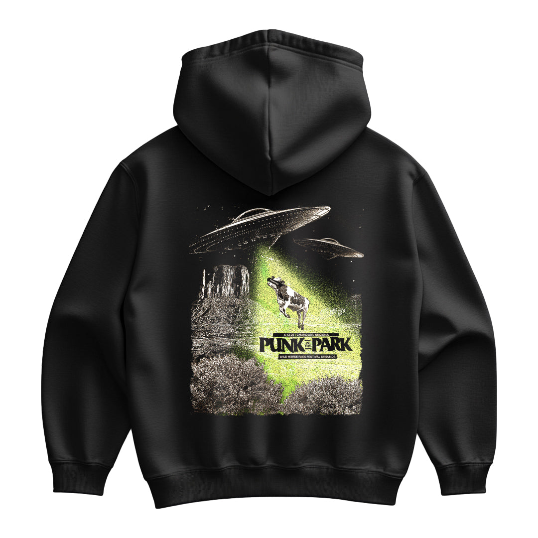 Punk In The Park Arizona | Hoodie